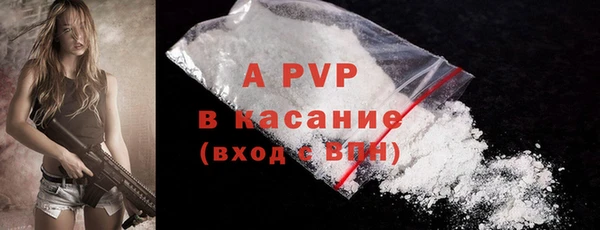 ECSTASY Богородицк